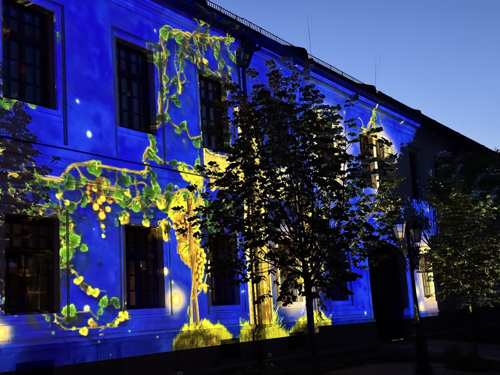 Illuminating Tokaj Main Square — photo 4